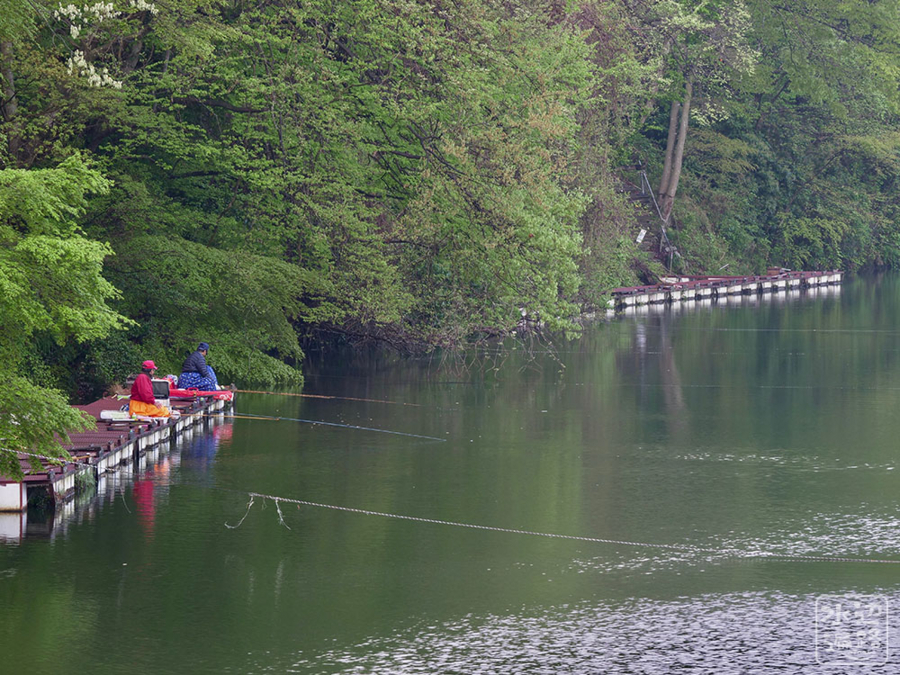 f:id:cippillo:20180422235616j:plain