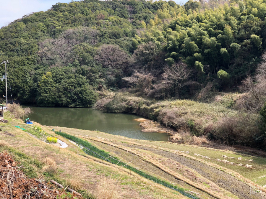 f:id:cippillo:20180427084420j:plain f:id:cippillo:20180427084420j:plain