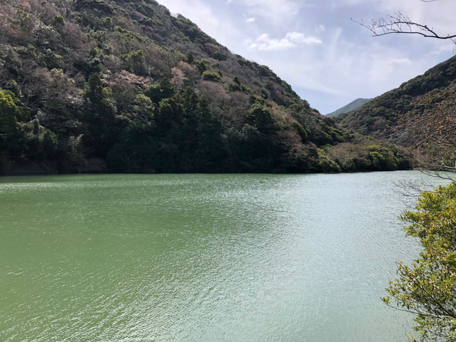 f:id:cippillo:20180427084433j:plain f:id:cippillo:20180427084433j:plain