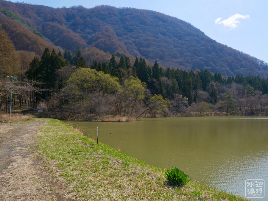 f:id:cippillo:20180501003500j:plain f:id:cippillo:20180501003500j:plain