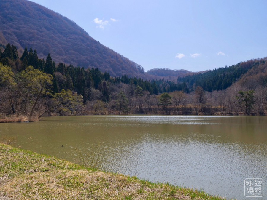 f:id:cippillo:20180501003501j:plain f:id:cippillo:20180501003501j:plain