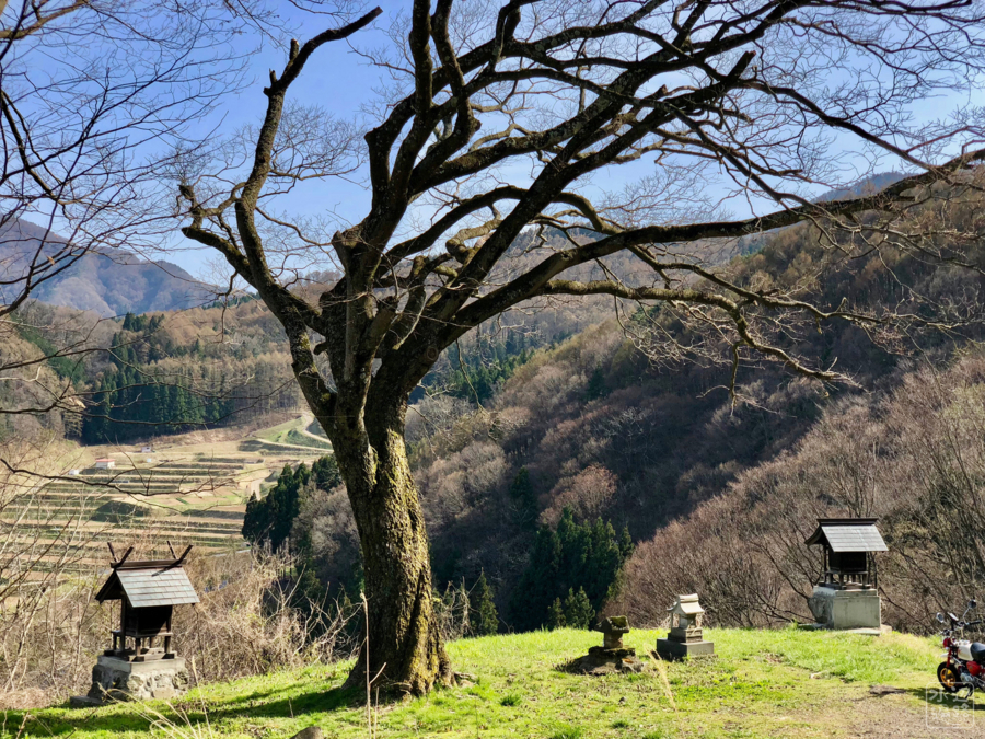 f:id:cippillo:20180501185811j:plain f:id:cippillo:20180501185811j:plain