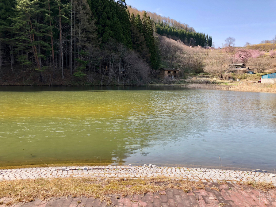 f:id:cippillo:20180501185814j:plain f:id:cippillo:20180501185814j:plain