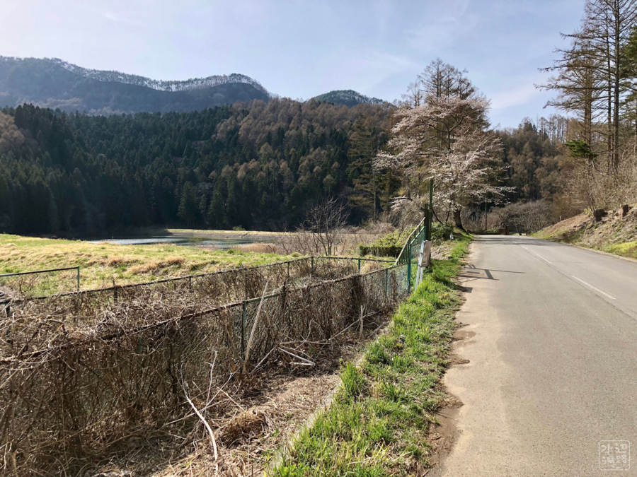 f:id:cippillo:20180501224424j:plain