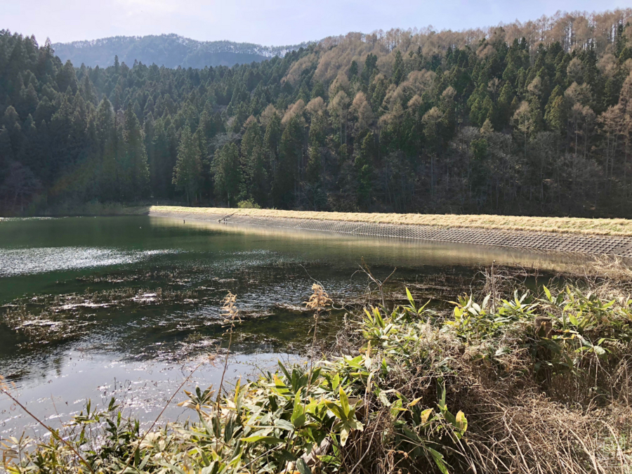 大池中池（長野県千曲） - 水辺遍路