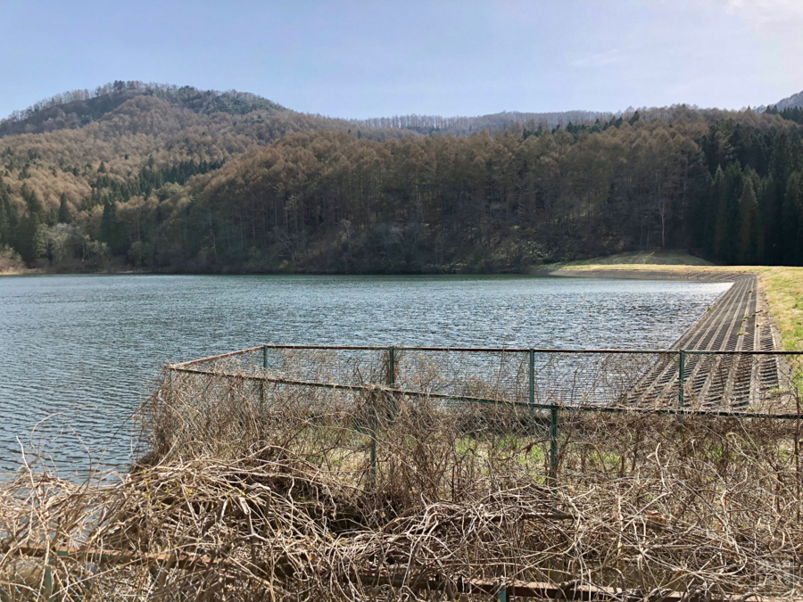 水道秋聖 「千野の池」 水道秋聖 「千野の池」 水道秋聖 「千野の池