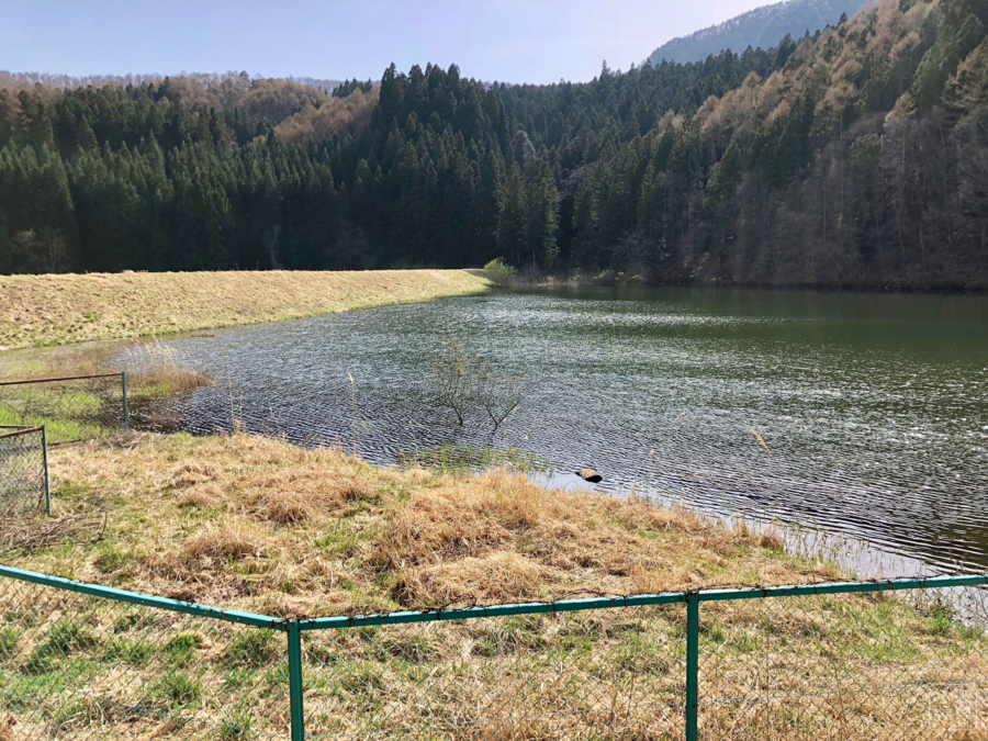 大池下池（長野県千曲） - 水辺遍路