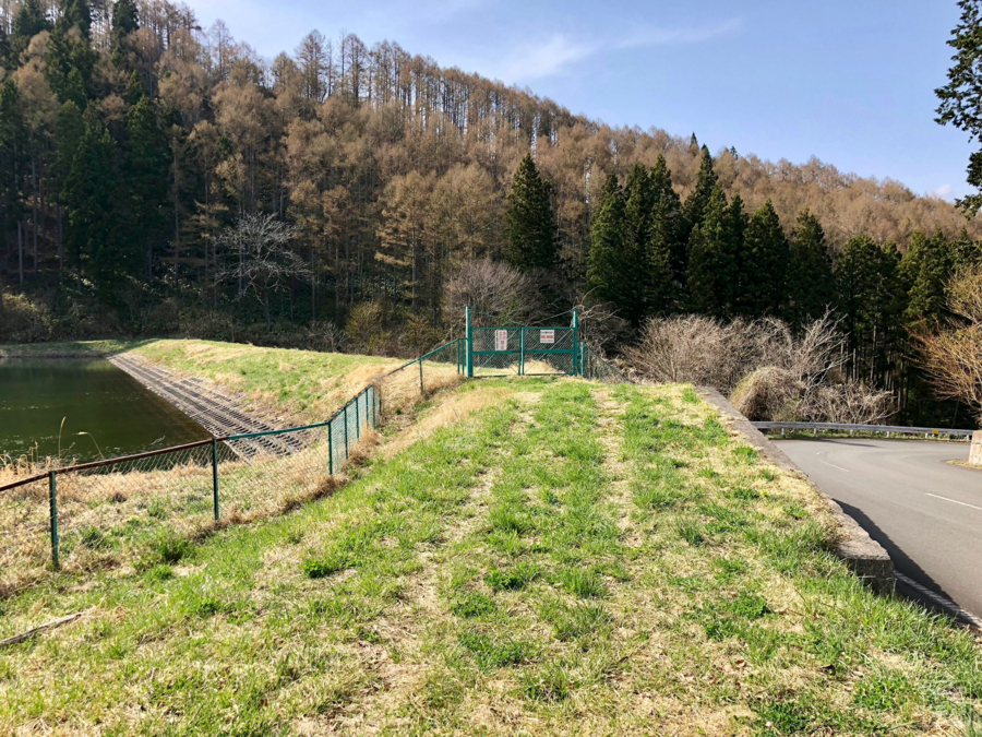 f:id:cippillo:20180502011408j:plain