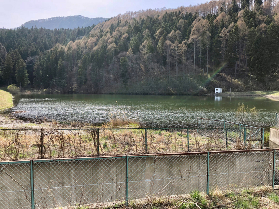 大池下池（長野県千曲） - 水辺遍路