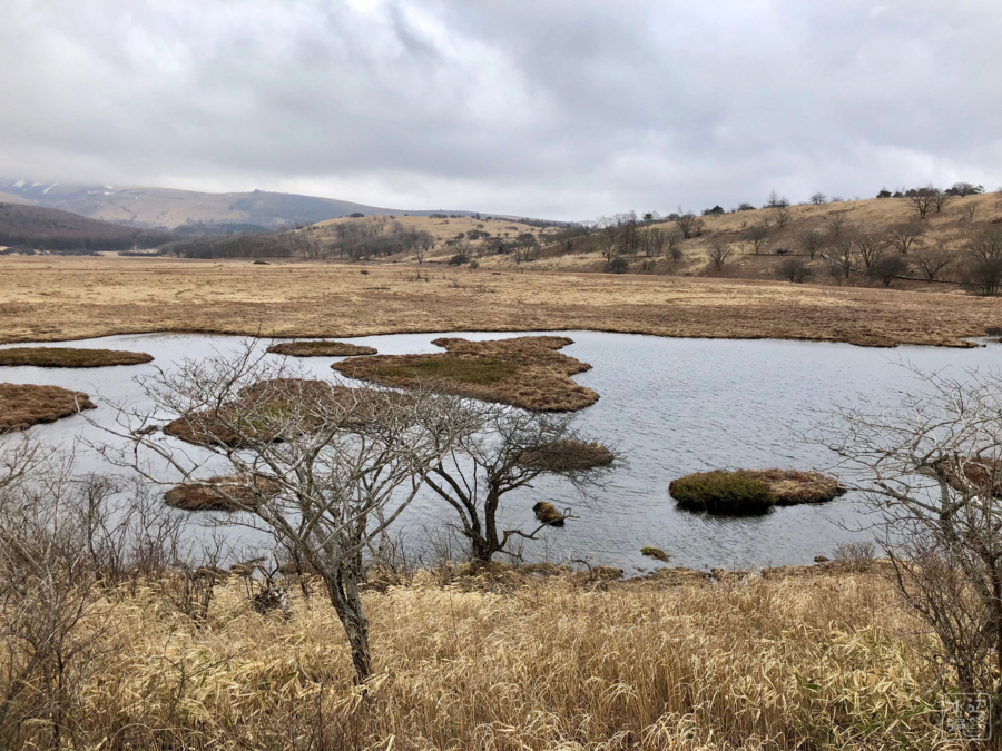 八島ヶ池（長野県下諏訪） - 水辺遍路