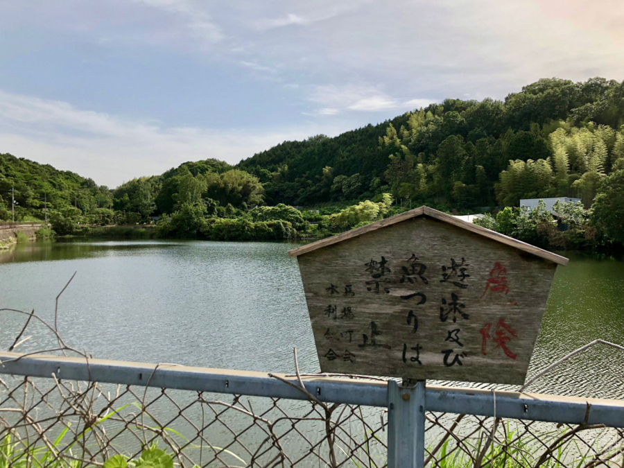 f:id:cippillo:20180525233228j:plain f:id:cippillo:20180525233228j:plain