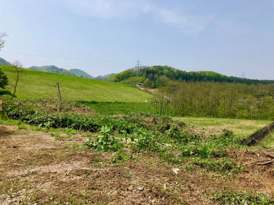 f:id:cippillo:20180602091339j:plain