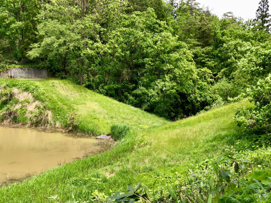 f:id:cippillo:20180603180612j:plain