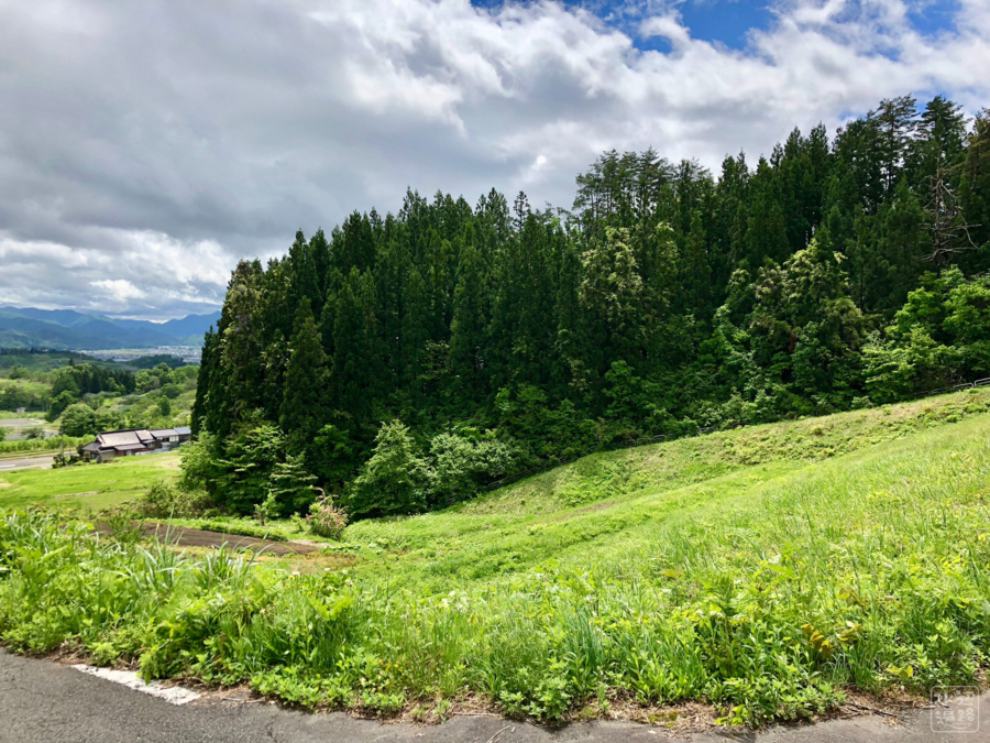 f:id:cippillo:20180604115925j:plain