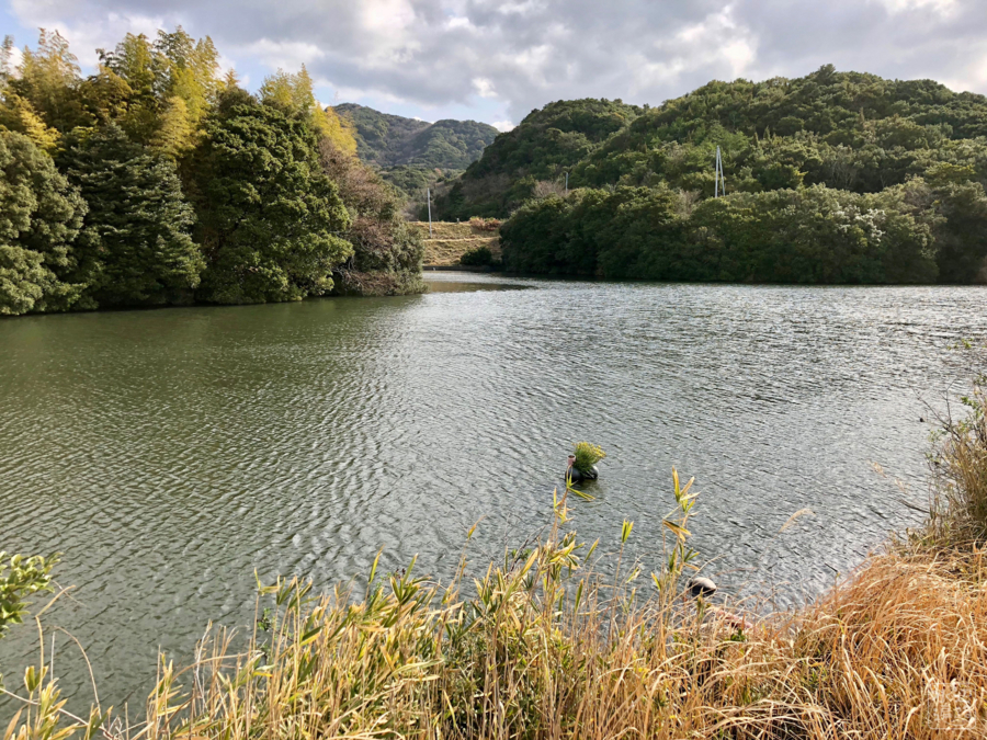 f:id:cippillo:20180606083523j:plain