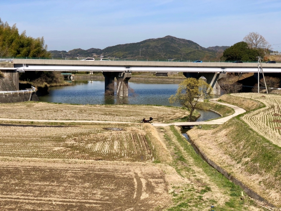 f:id:cippillo:20180606090113j:plain f:id:cippillo:20180606090113j:plain