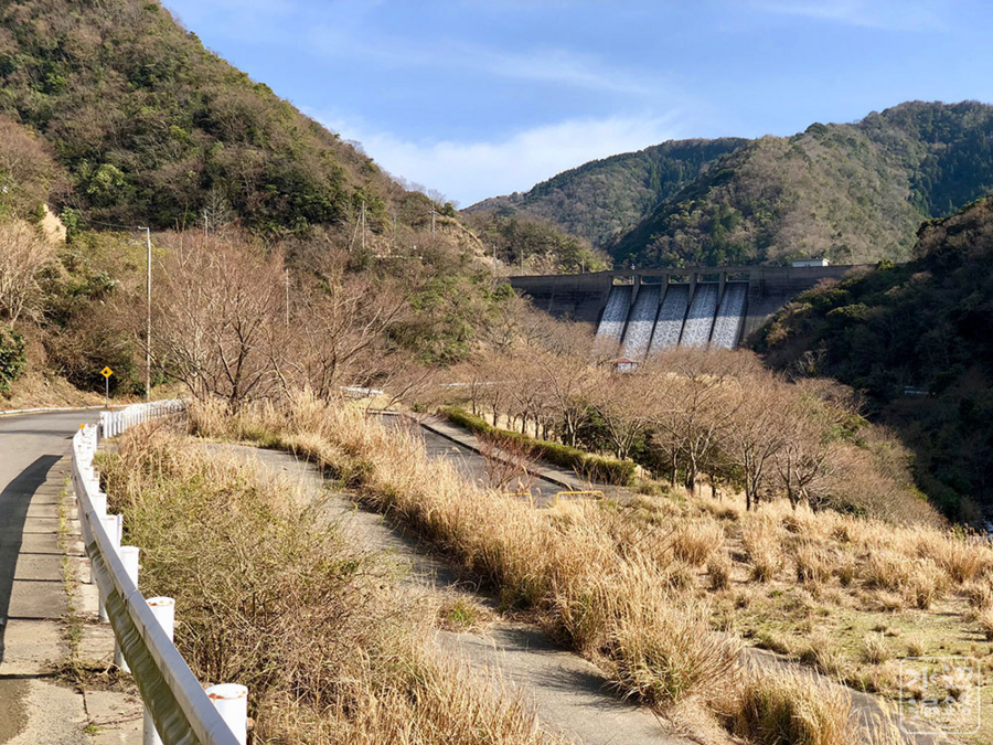 f:id:cippillo:20180607085309j:plain