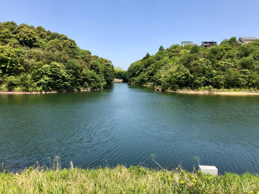 f:id:cippillo:20180608160535j:plain