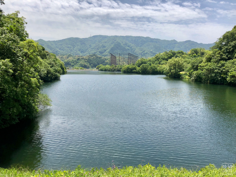 f:id:cippillo:20180608160540j:plain