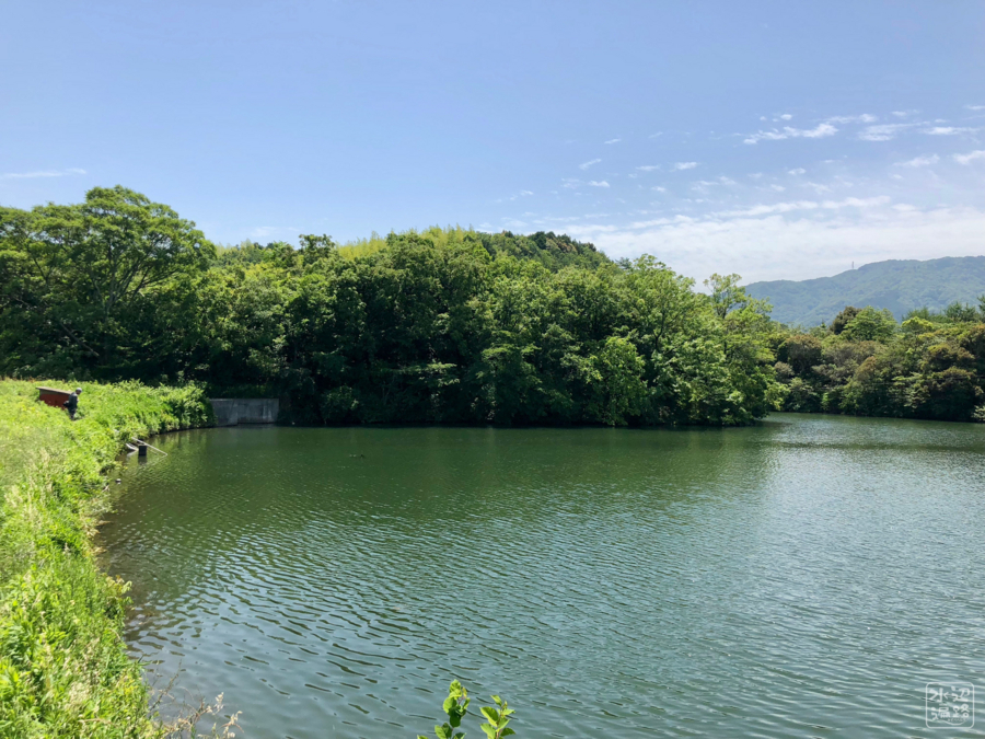 f:id:cippillo:20180608160544j:plain