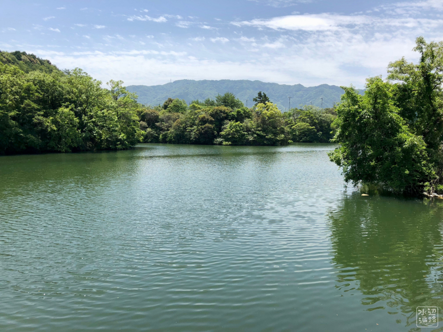 f:id:cippillo:20180608160545j:plain