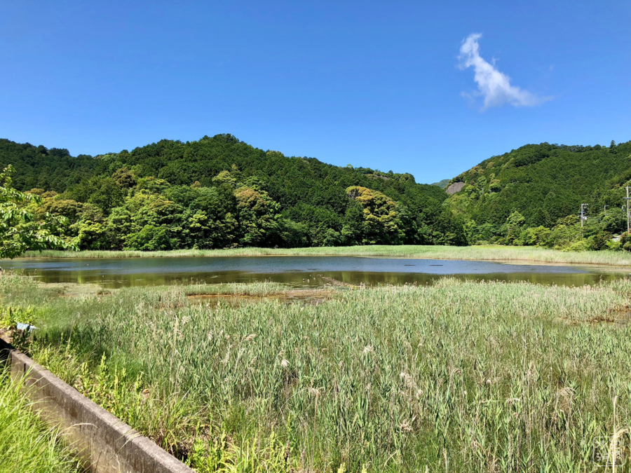 f:id:cippillo:20180610110558j:plain f:id:cippillo:20180610110558j:plain