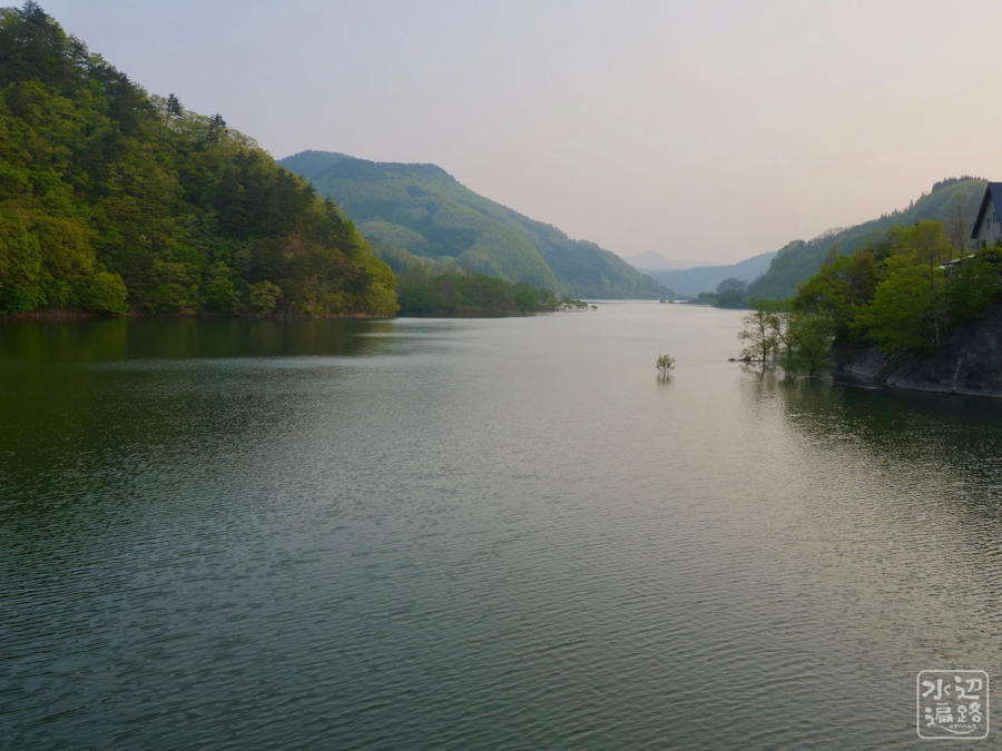 f:id:cippillo:20180615084117j:plain