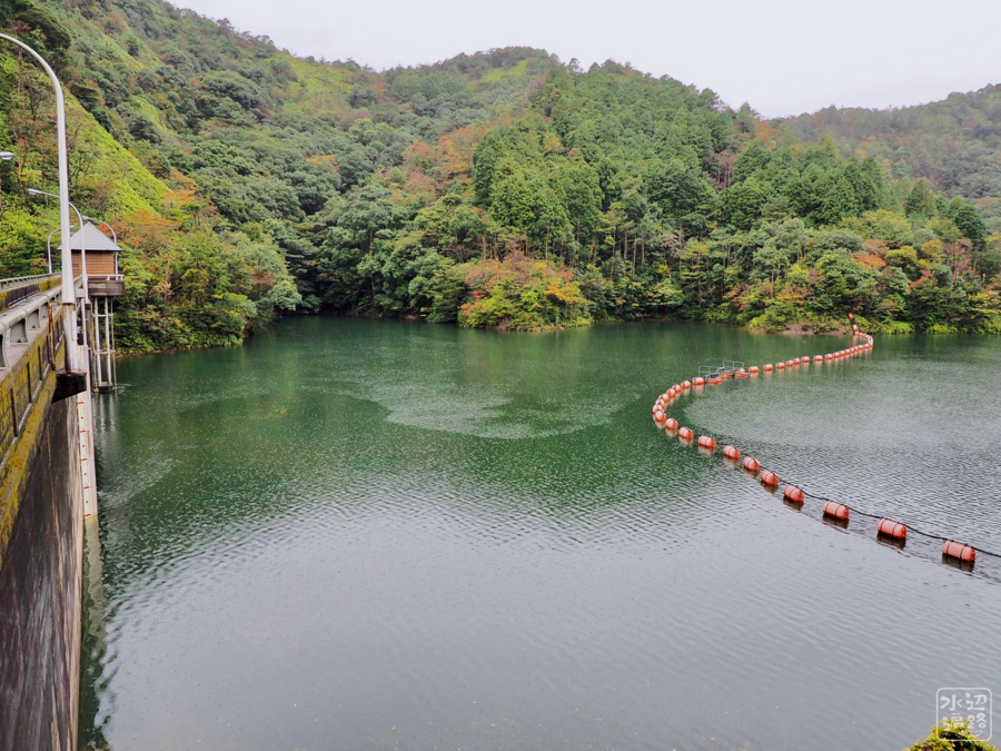 f:id:cippillo:20180702085002j:plain f:id:cippillo:20180702085002j:plain