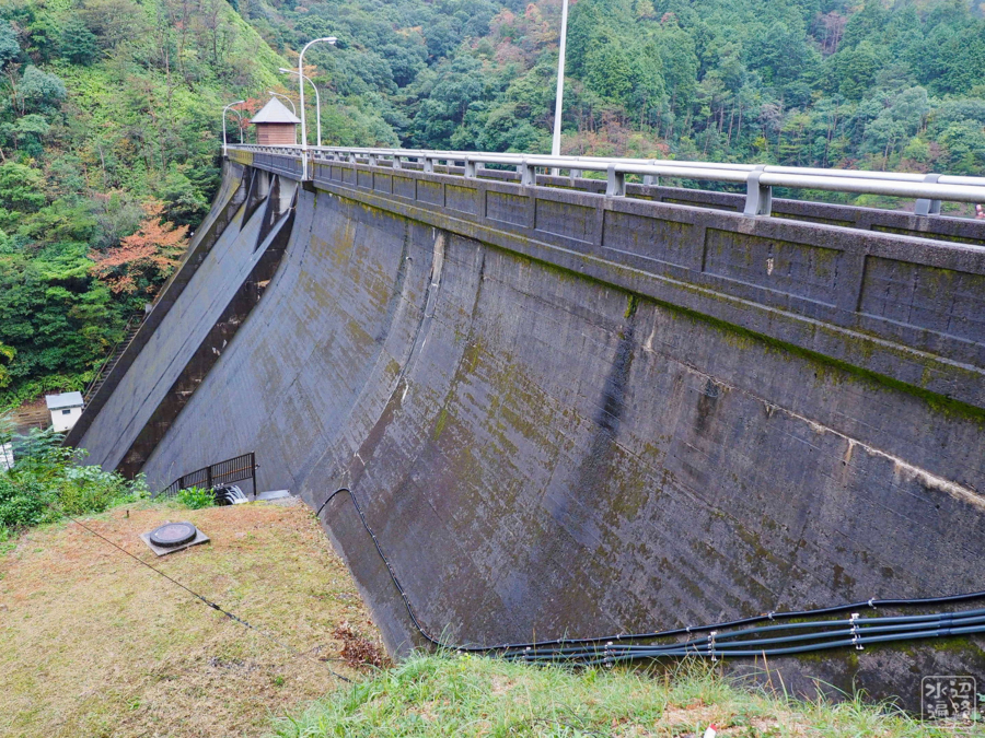 f:id:cippillo:20180702085004j:plain f:id:cippillo:20180702085004j:plain