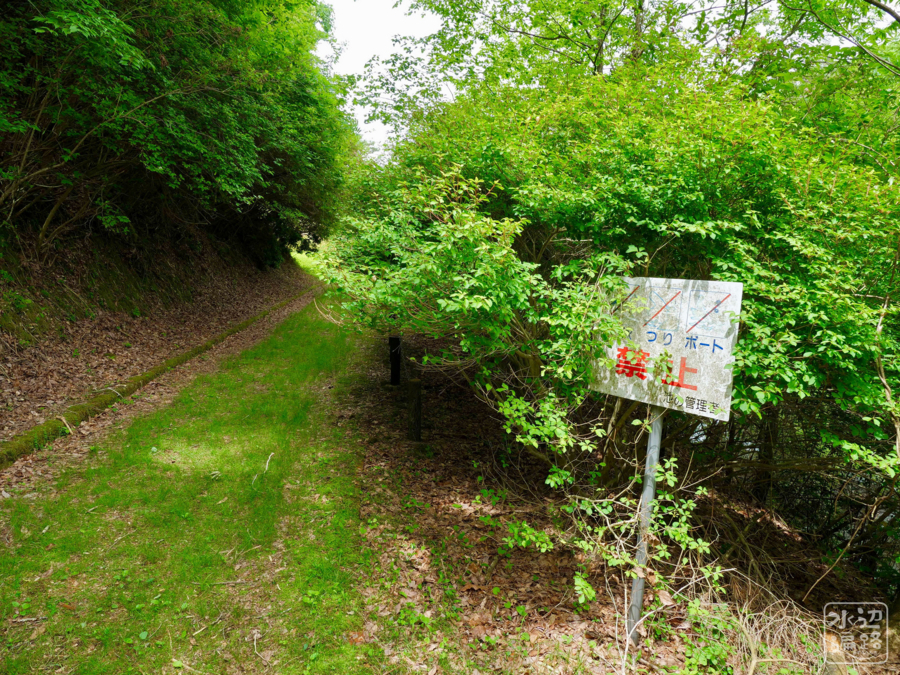 f:id:cippillo:20180712090928j:plain