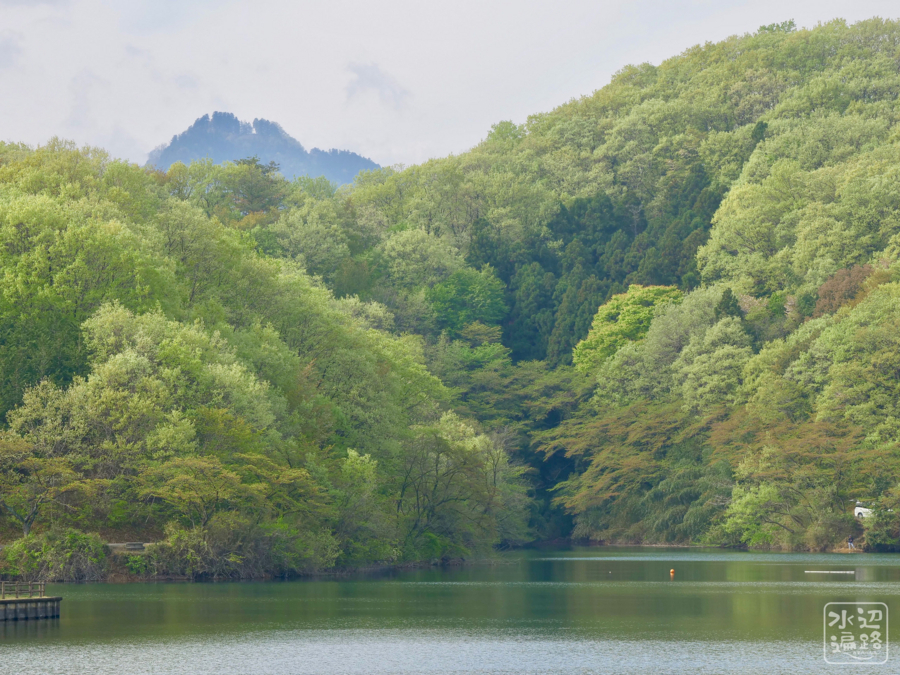 f:id:cippillo:20180720101433j:plain