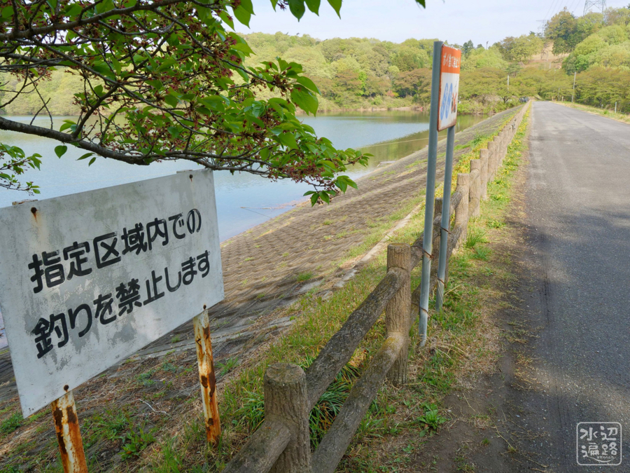 f:id:cippillo:20180720101443j:plain