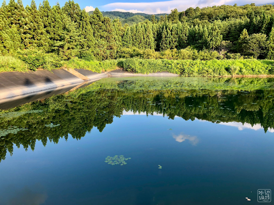 f:id:cippillo:20180726085219j:plain f:id:cippillo:20180726085219j:plain