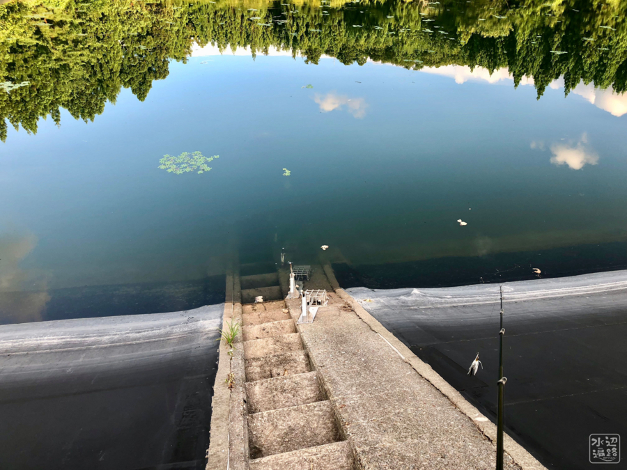 f:id:cippillo:20180726085220j:plain f:id:cippillo:20180726085220j:plain