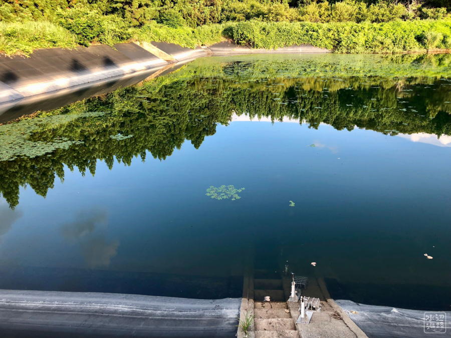 f:id:cippillo:20180726085223j:plain f:id:cippillo:20180726085223j:plain