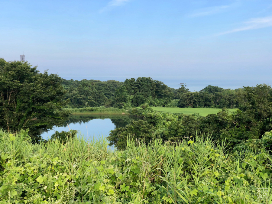 f:id:cippillo:20180727085356j:plain f:id:cippillo:20180727085356j:plain