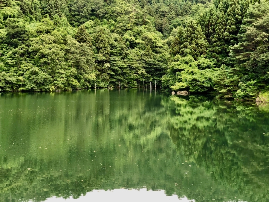 f:id:cippillo:20180812161203j:plain f:id:cippillo:20180812161203j:plain