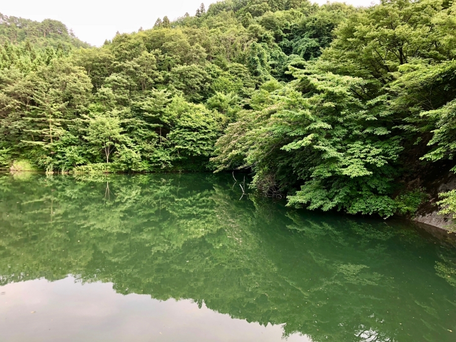 f:id:cippillo:20180812161205j:plain f:id:cippillo:20180812161205j:plain