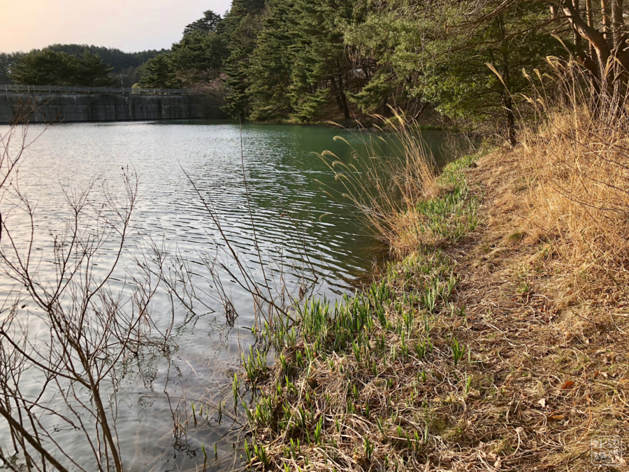 f:id:cippillo:20180819110109j:plain