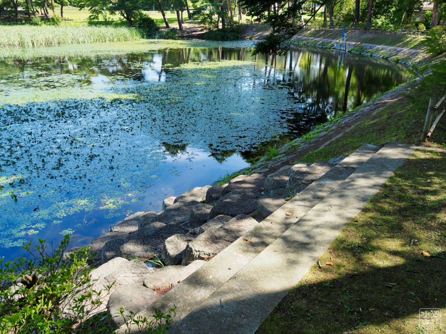 f:id:cippillo:20180821034930j:plain