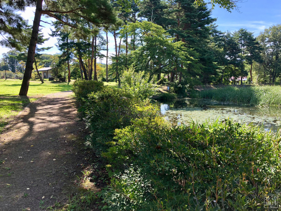 f:id:cippillo:20180821034934j:plain