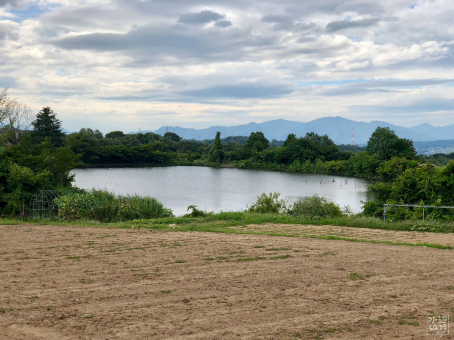 f:id:cippillo:20180823150242j:plain