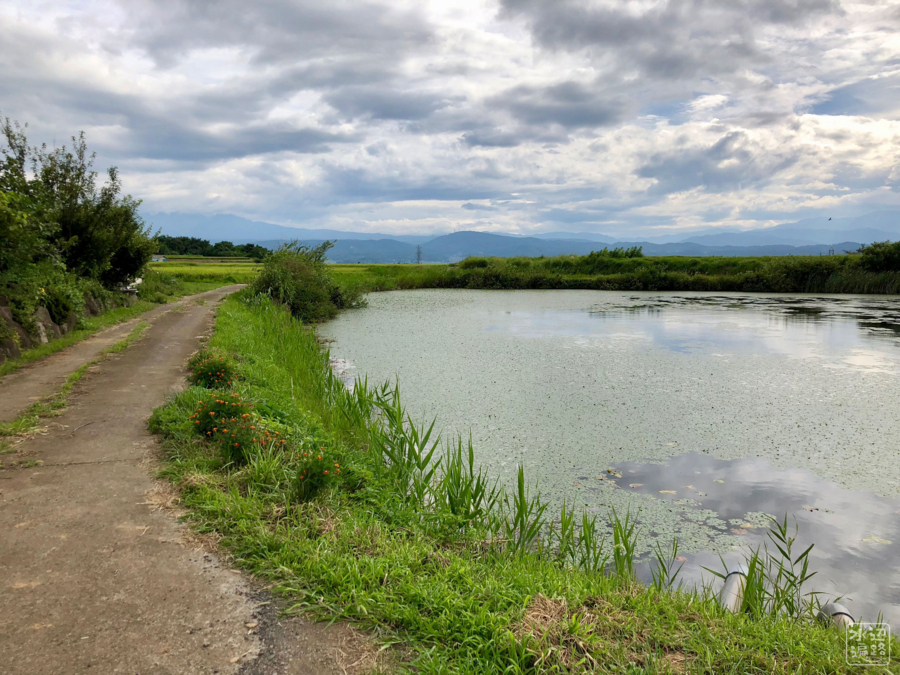 f:id:cippillo:20180823150244j:plain