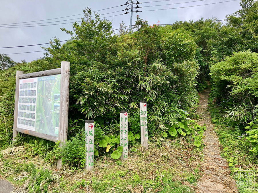 f:id:cippillo:20180825110021j:plain