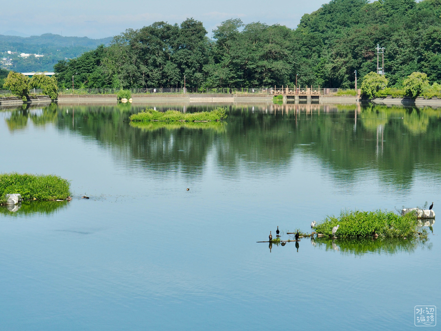 水道秋聖　「千野の池」 千秋公園 見応えある二段落としの滝石組 -庭園ガイド