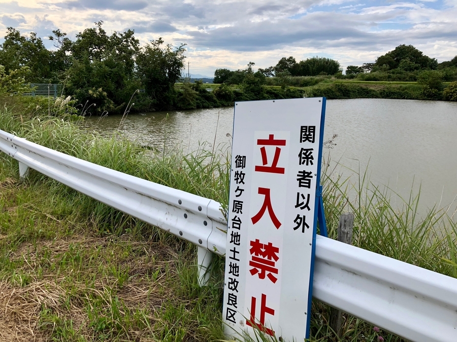 f:id:cippillo:20180831103159j:plain