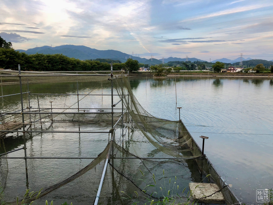 f:id:cippillo:20180910101232j:plain f:id:cippillo:20180910101232j:plain