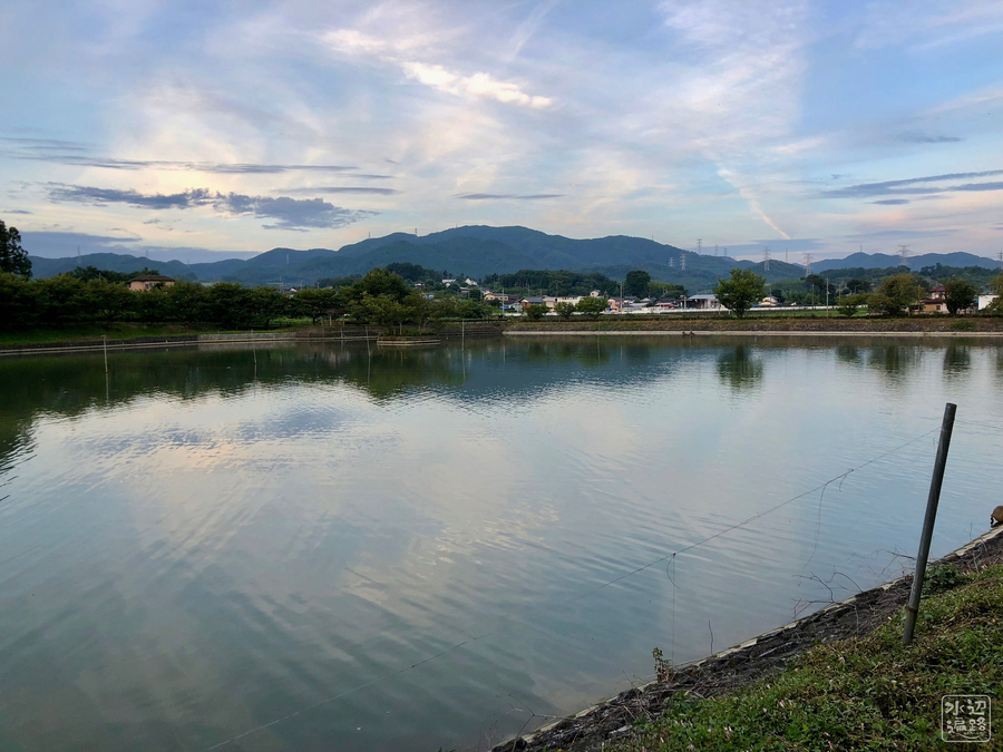 f:id:cippillo:20180910101233j:plain f:id:cippillo:20180910101233j:plain