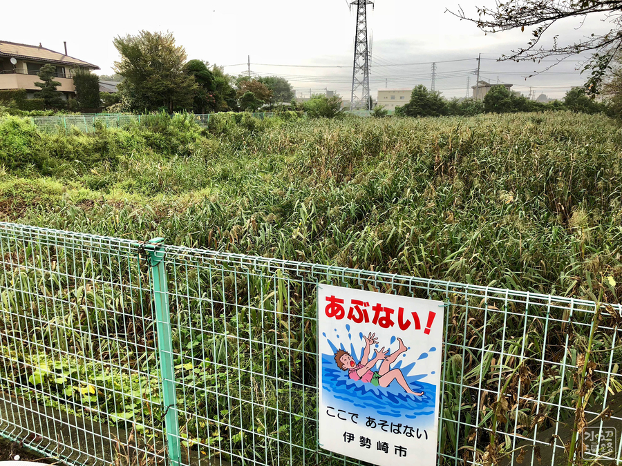 f:id:cippillo:20180925100019j:plain f:id:cippillo:20180925100019j:plain