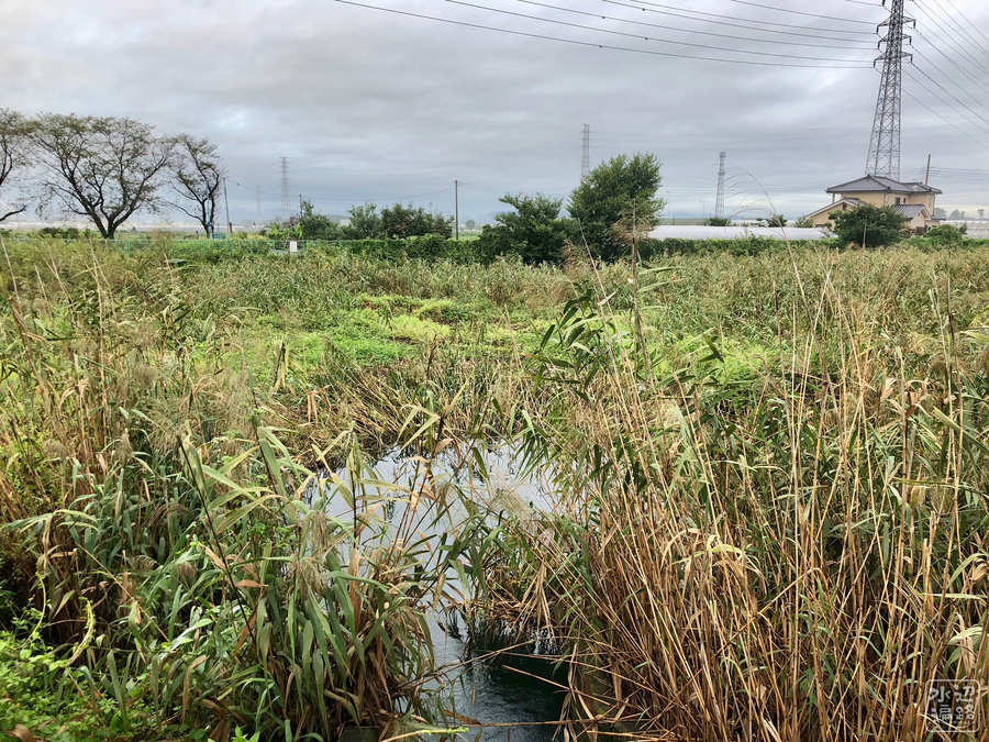 f:id:cippillo:20180925100020j:plain f:id:cippillo:20180925100020j:plain